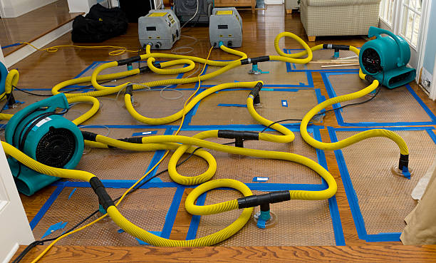 Professional Water Extraction technician working in Elmwood, WI